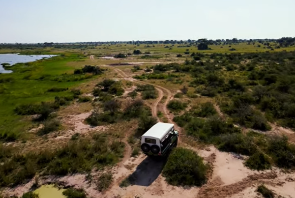 accessible safari Murchison