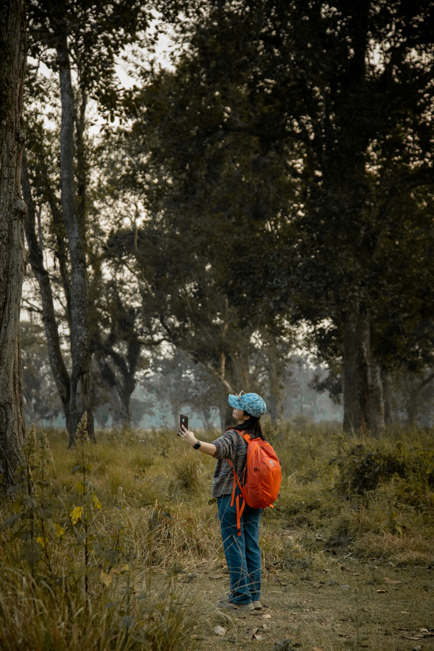 backpacker safaris Murchison