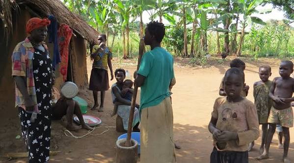 cultural shows Murchison