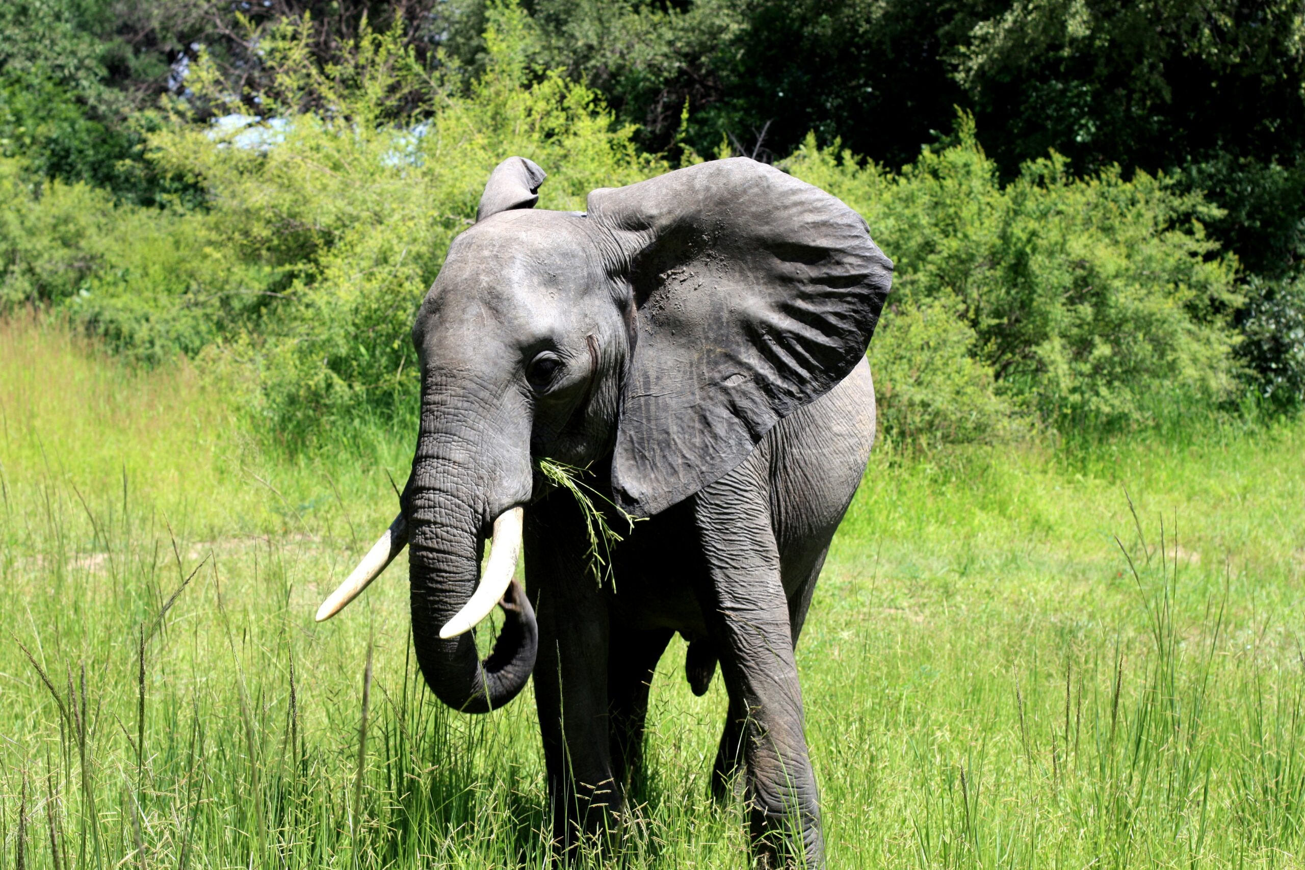 budget travel Murchison