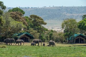 Murchison falls camping | Murchison falls park safari