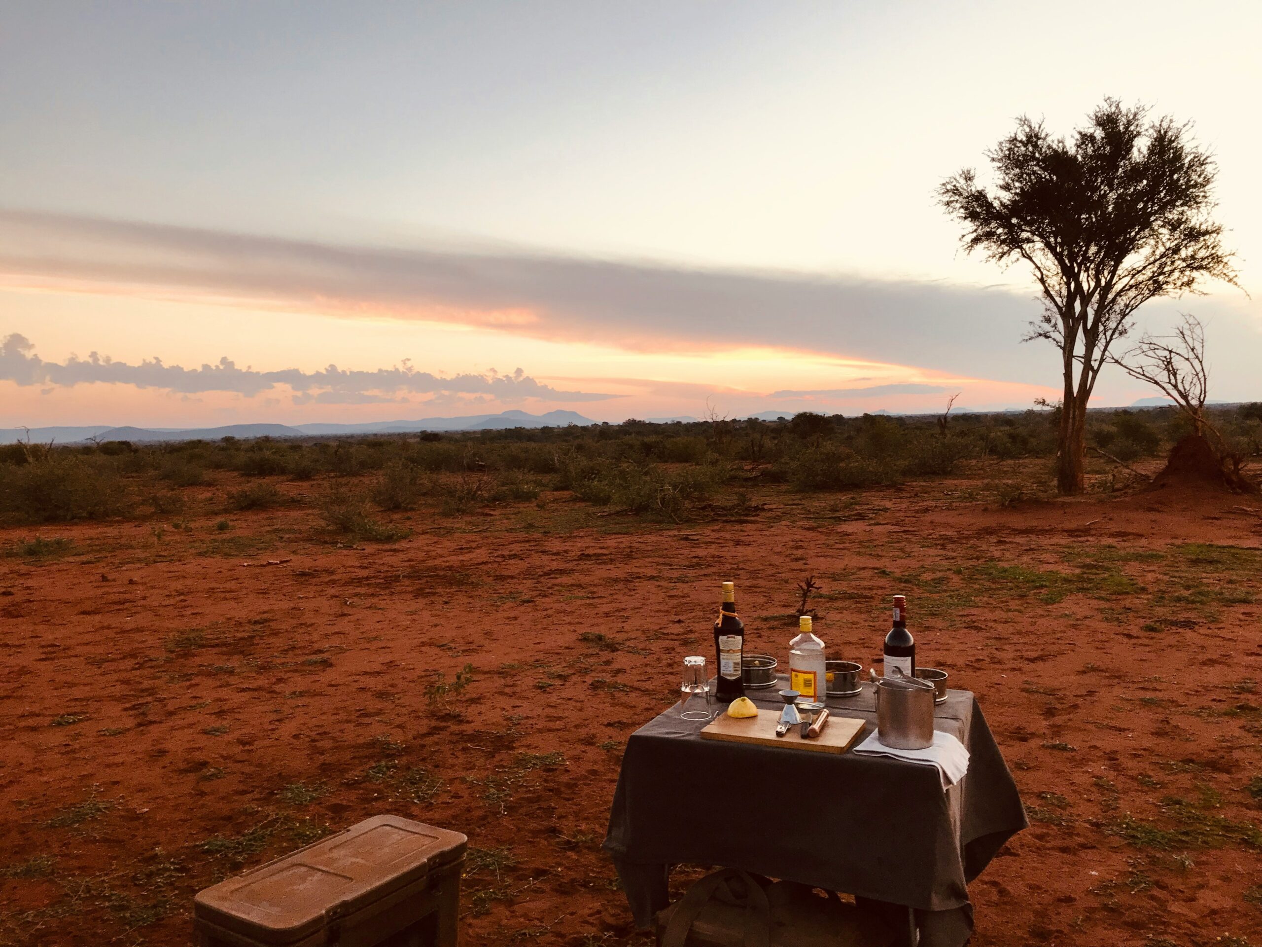 champagne safaris Murchison