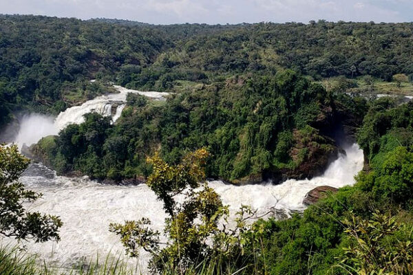 The delta area | Murchison falls park safari