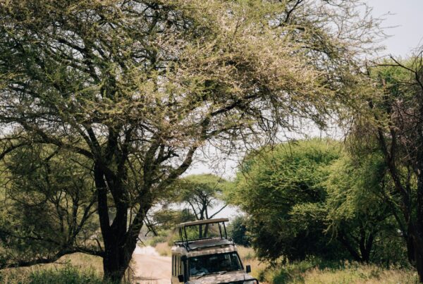 road trip Murchison
