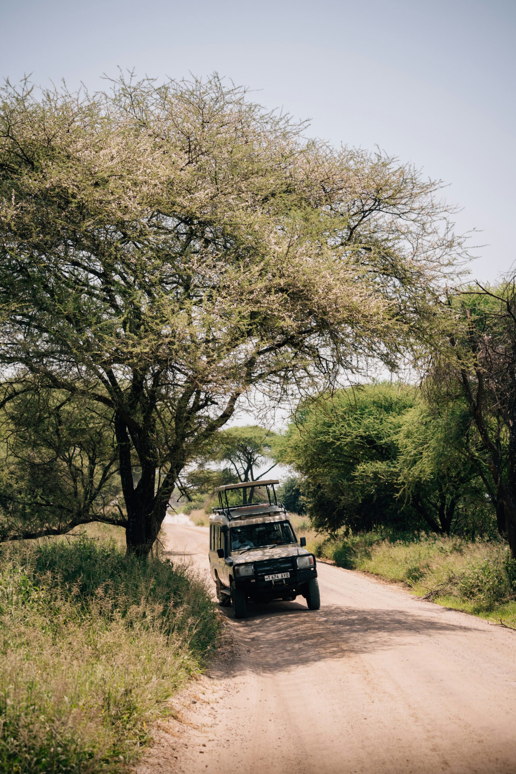road trip Murchison