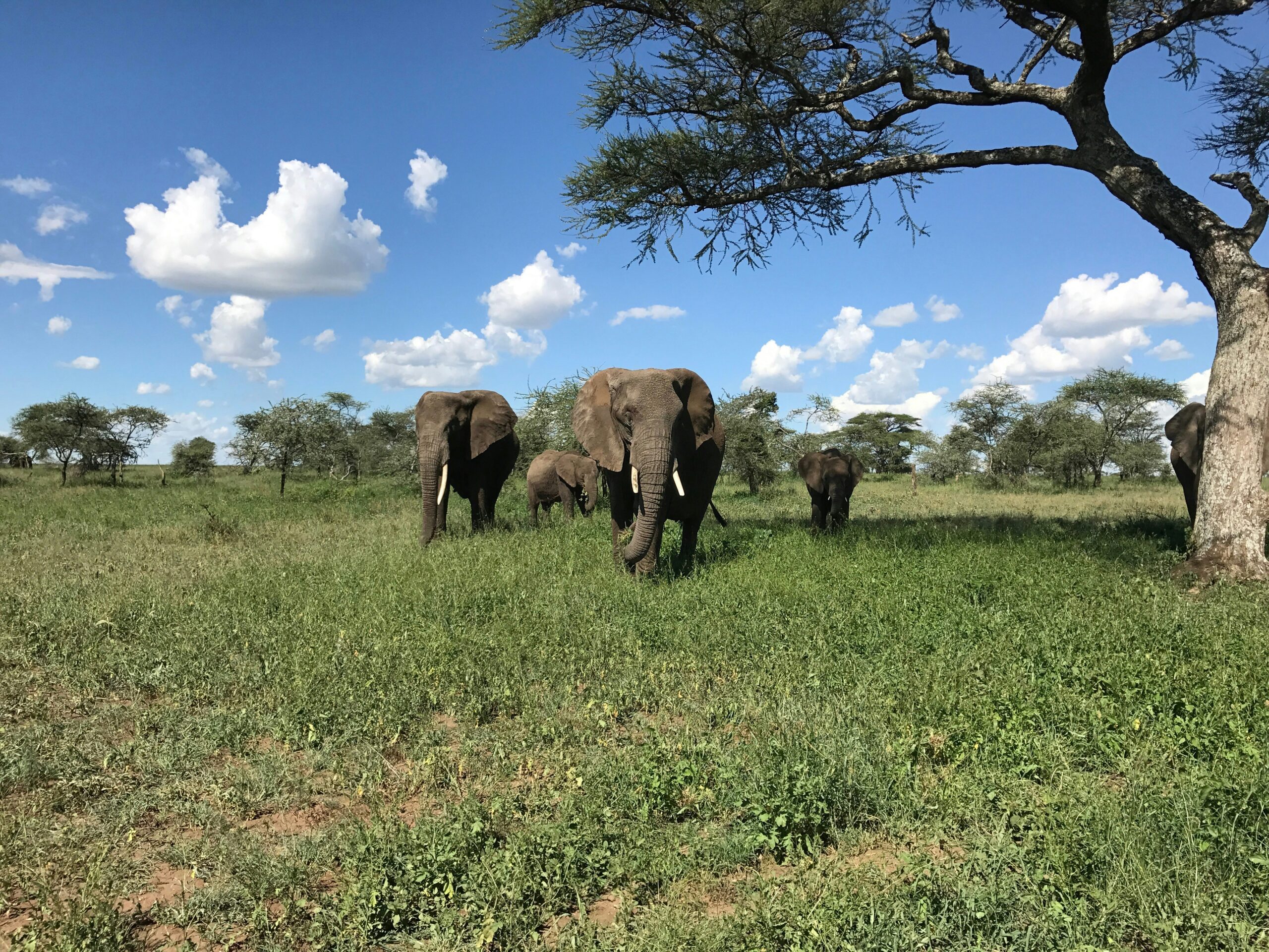 Murchison Falls itinerary ideas