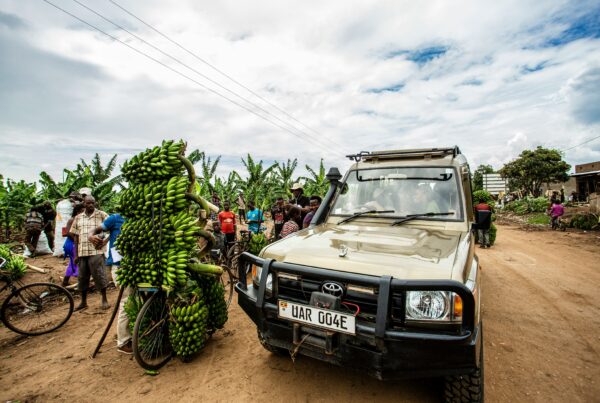 Murchison falls tour guides | Murchison falls park safari