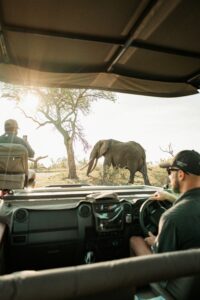Murchison Falls guided safari