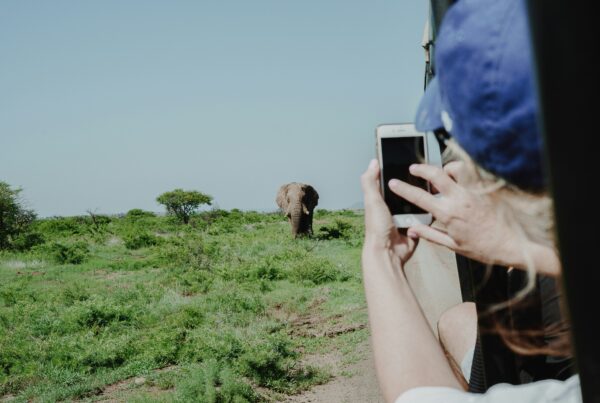 Murchison falls safety guide | Murchison falls park safari