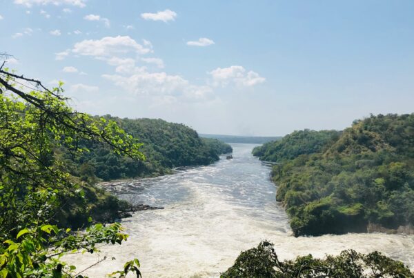 murchison falls hiking trail | Murchison falls park safari