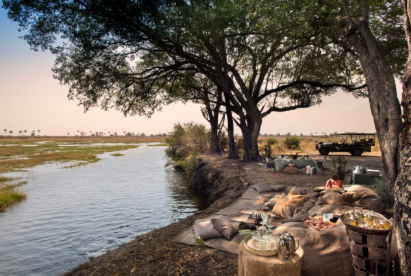 Luxury Safari Lodges Murchison Falls National Park