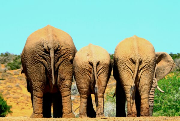 luxury Murchison experiences