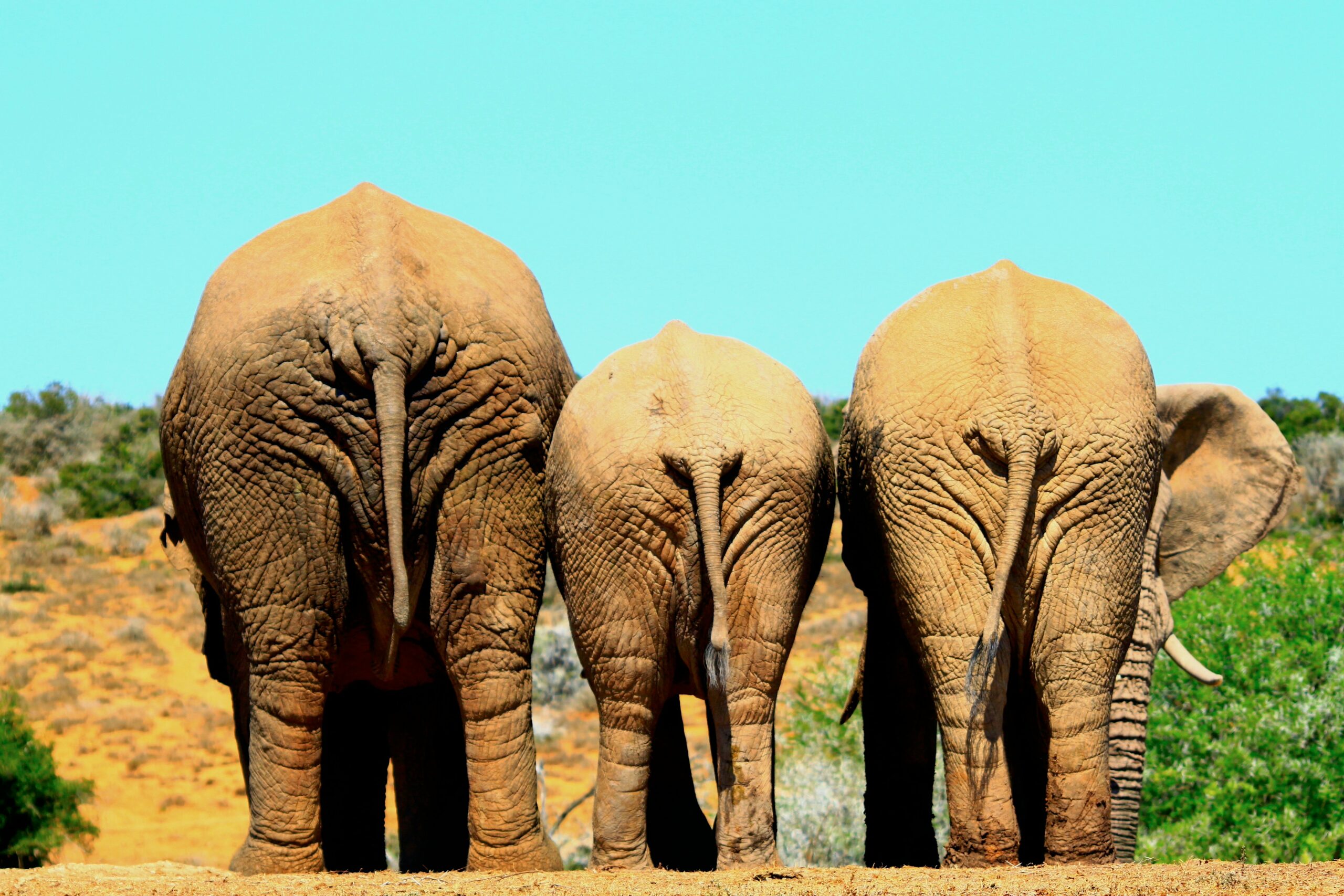 luxury Murchison experiences