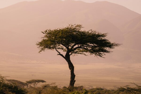 nature study Murchison