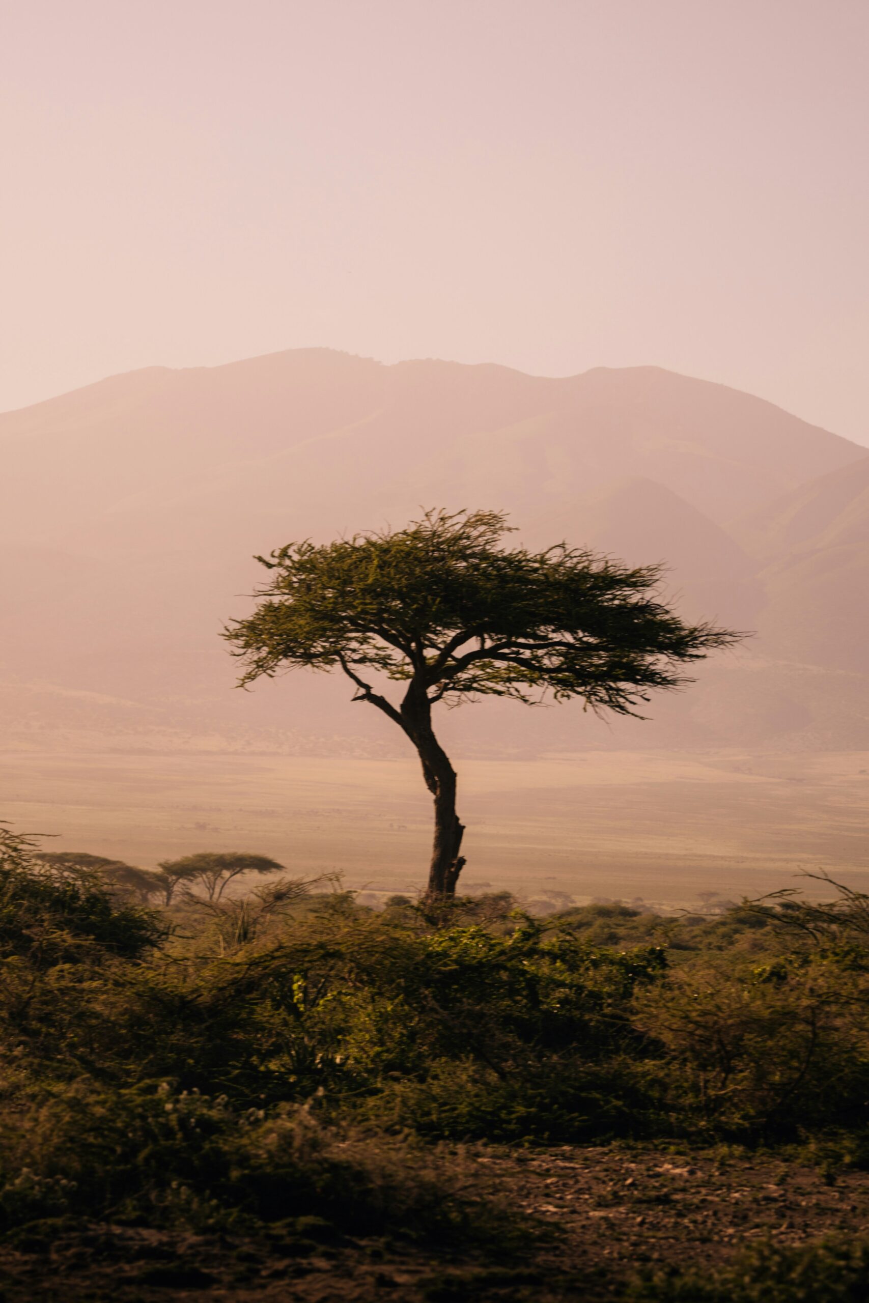 nature study Murchison
