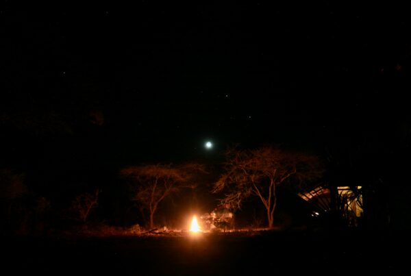 Murchison falls night safari | Murchison falls park safari