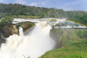 Murchison Falls Nile river safari