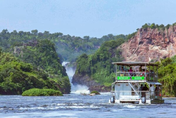 Paraa area | Murchison falls park safari
