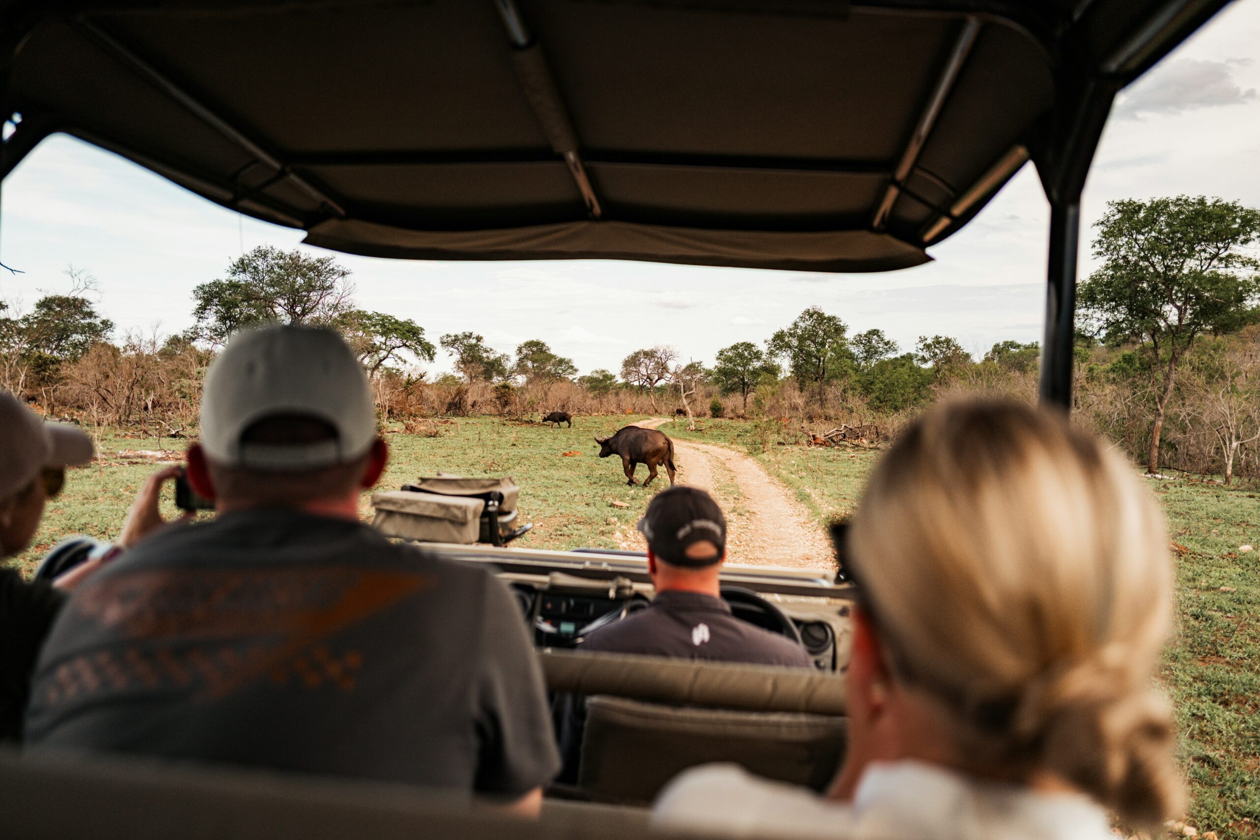 Murchison Falls photography safari