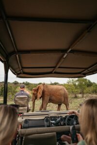 Murchison Falls photography safari