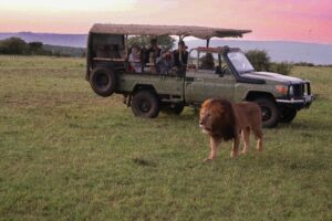 private safaris Murchison