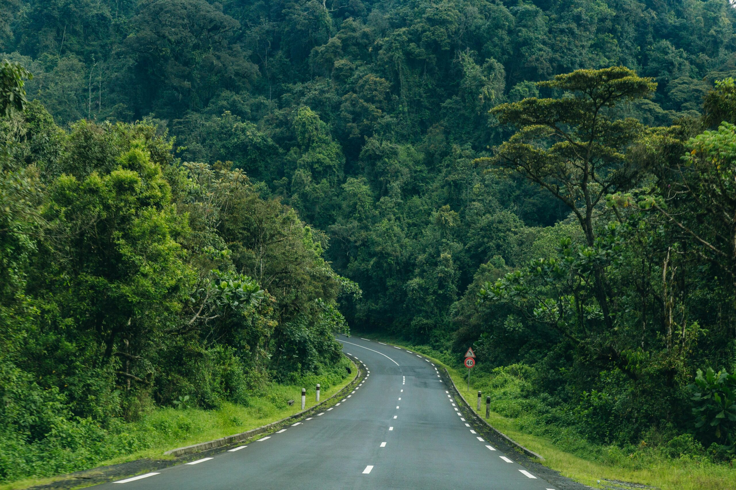 Kaniyo Pabidi Forest Murchison Falls
