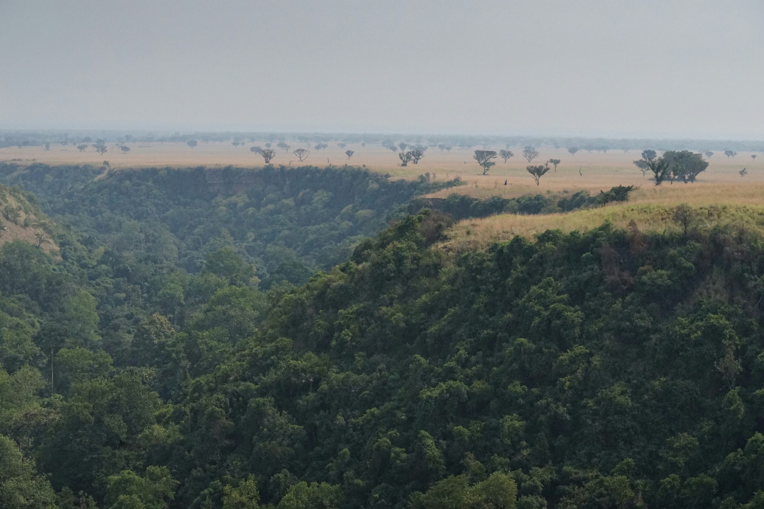 Rabongo Forest Murchison Falls