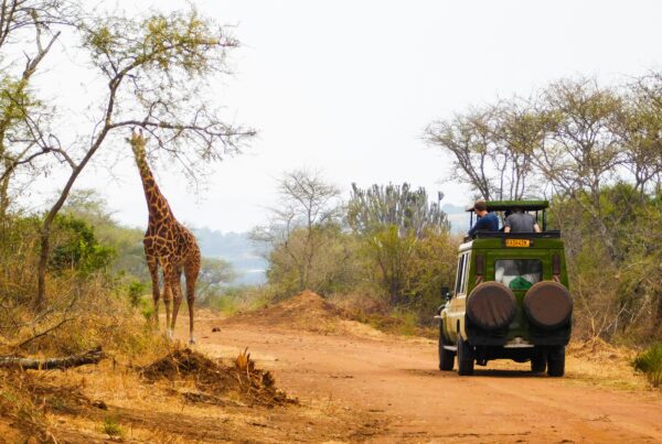 Murchison Falls self drive safari