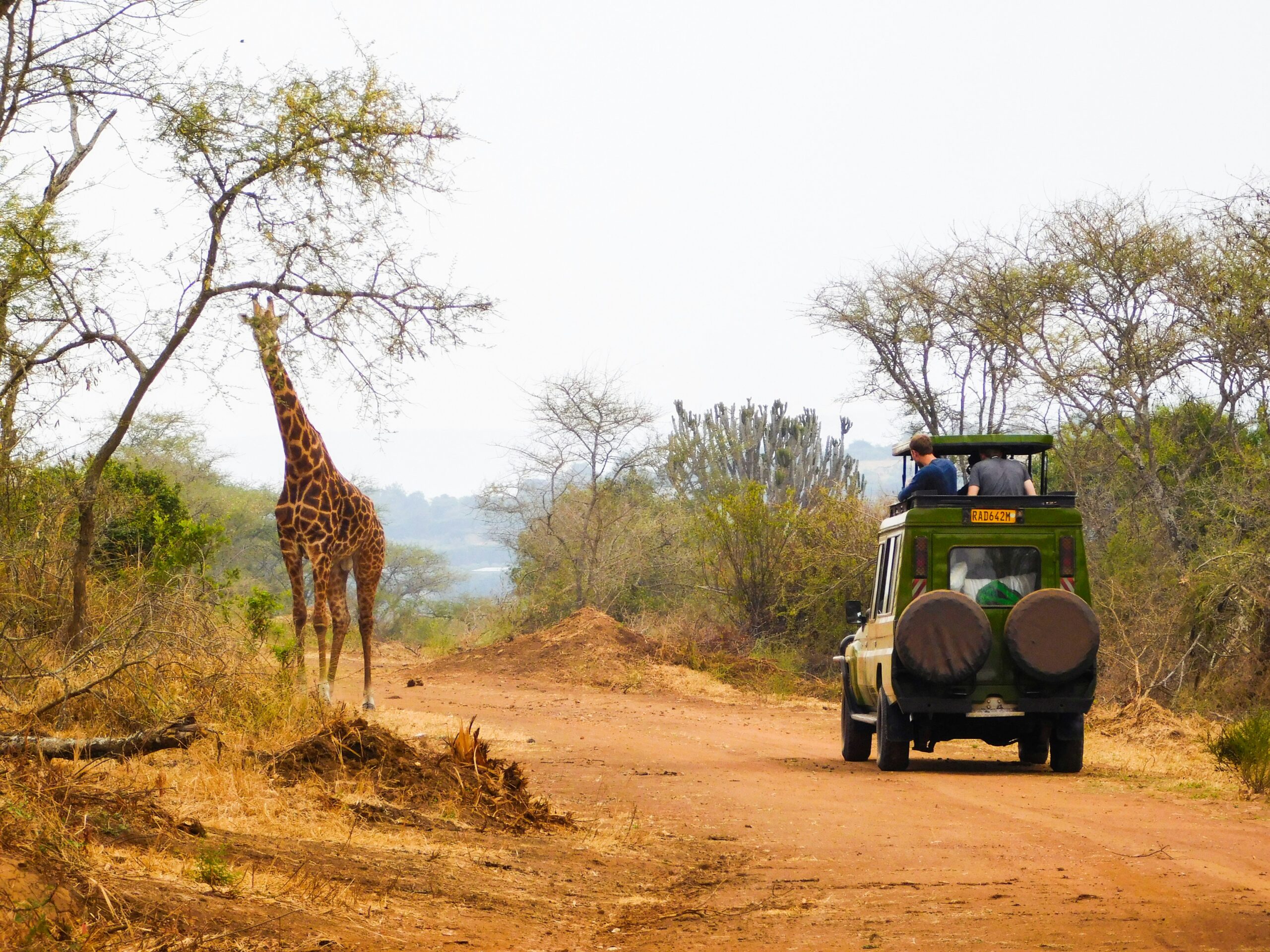 Murchison Falls self drive safari