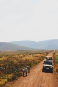 Murchison Falls self drive safari