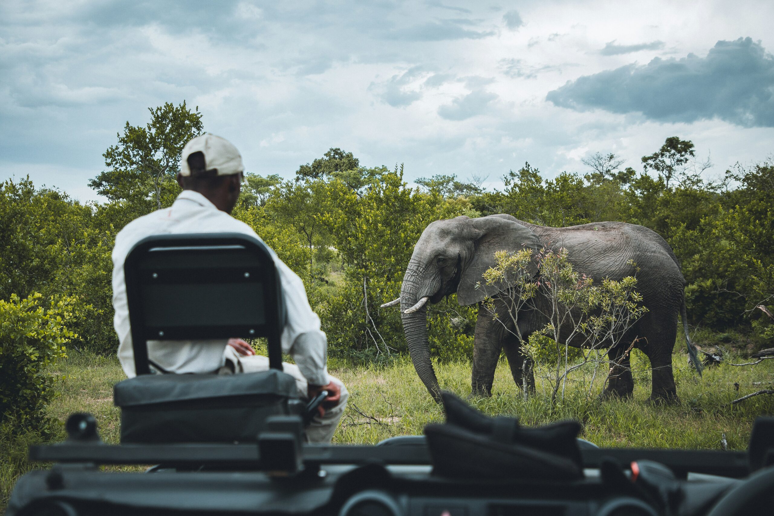 Solo safari murchison falls | Murchison falls park safari