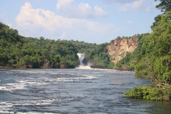 The nile river | Murchison falls park safari