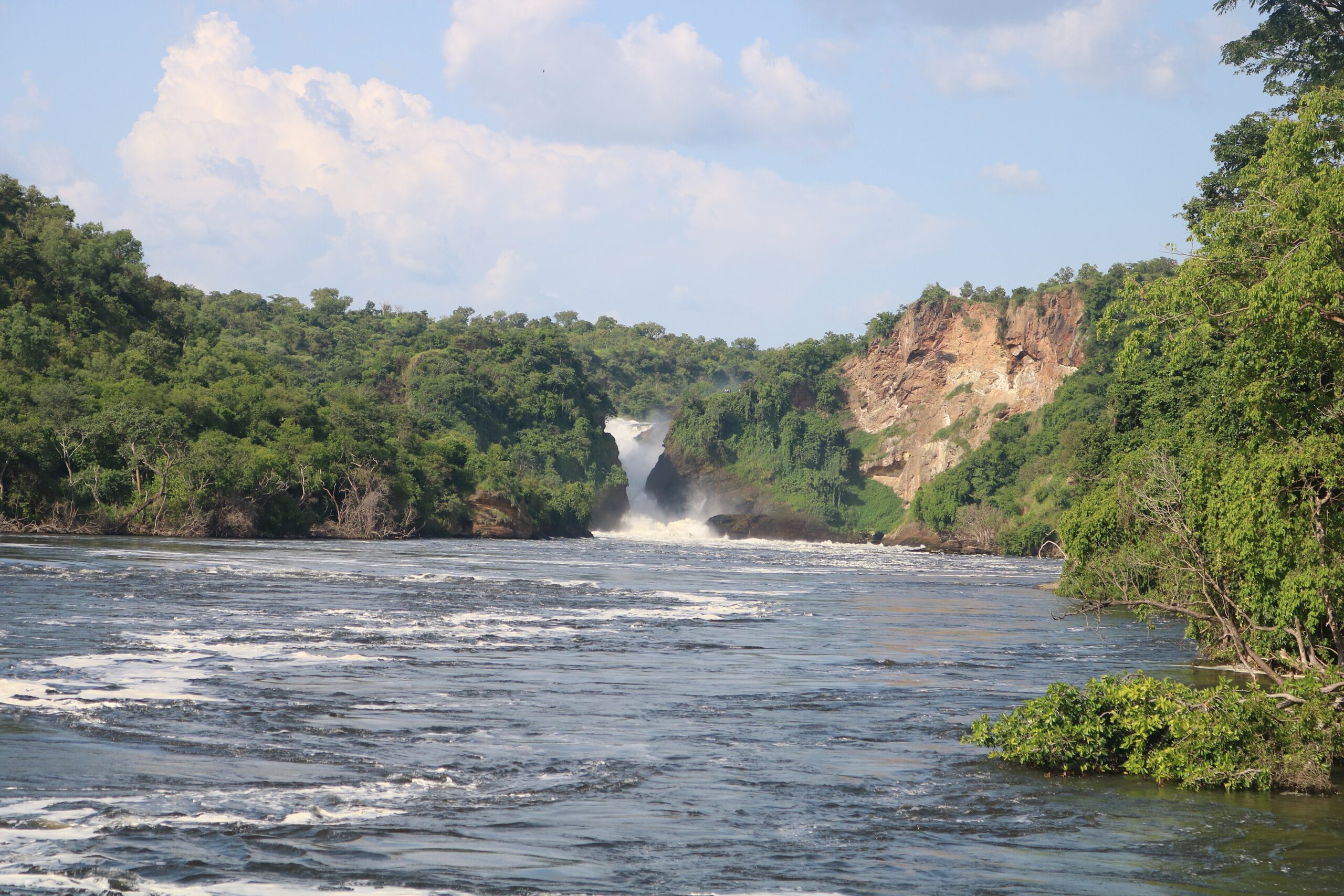 The nile river | Murchison falls park safari