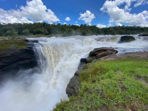Murchison falls