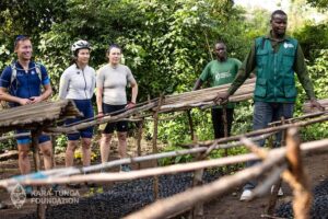 tree planting Murchison