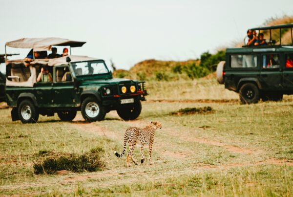 Anxiety Safari Uganda