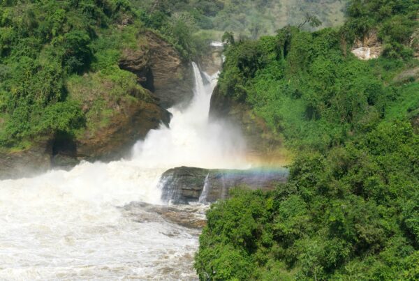 Bottom of the Falls Murchison