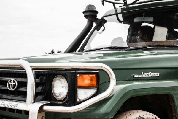 car rental murchison