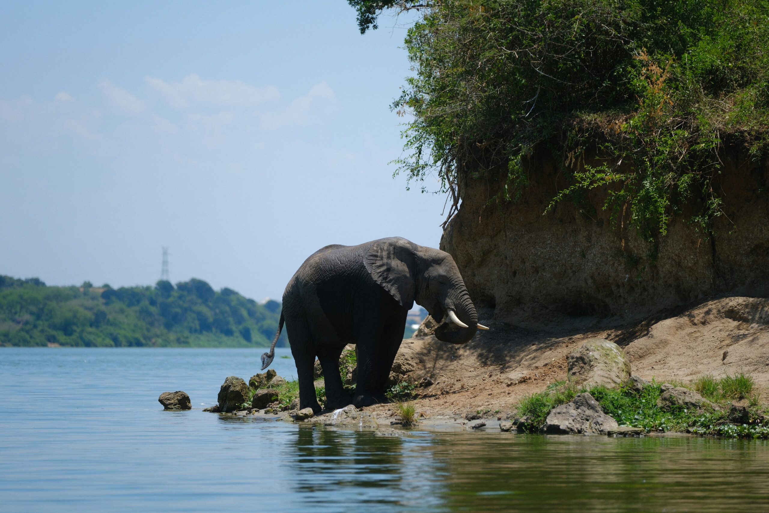 is murchison falls worth visiting