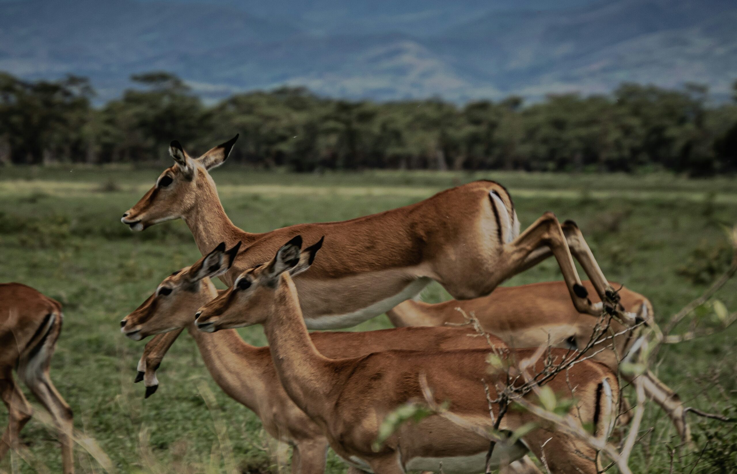 Photography Etiquette Uganda