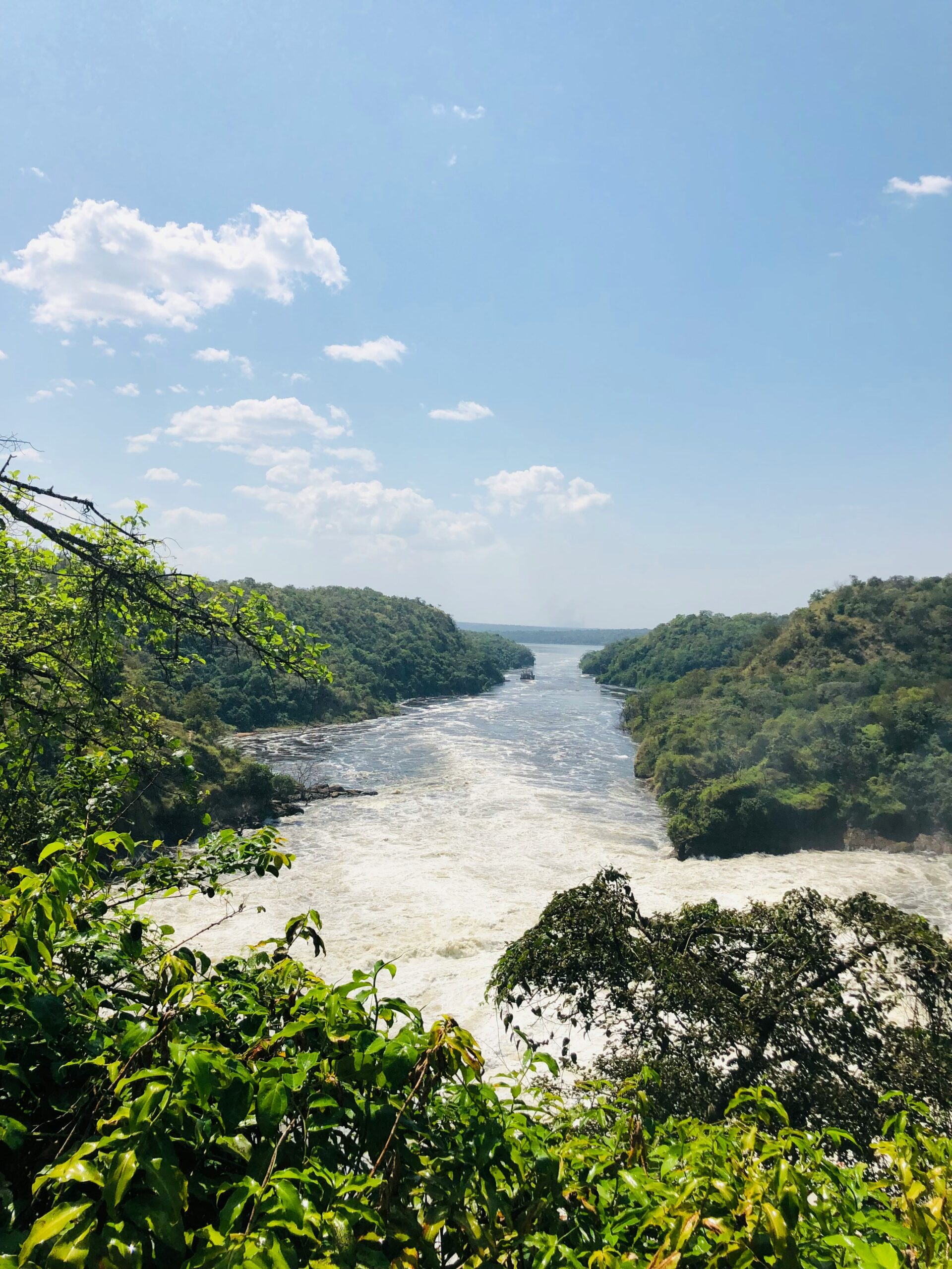Murchison Falls power