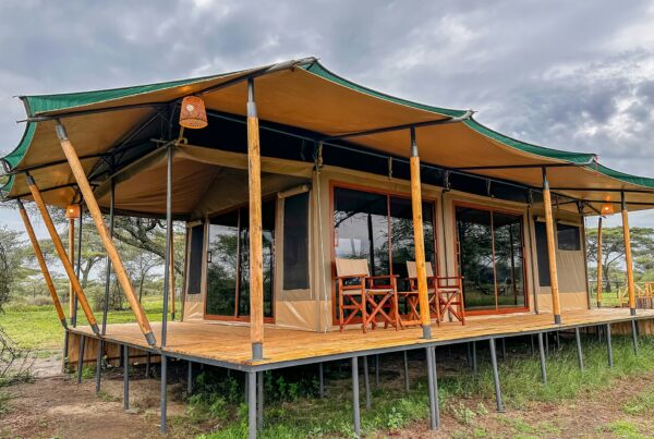 Best Budget Camps at Murchison Falls