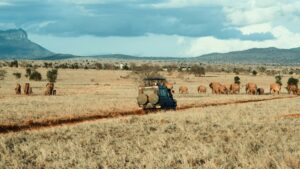 Top African Safari Destinations 2026