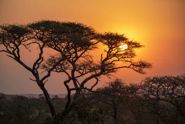 sunset spots Murchison