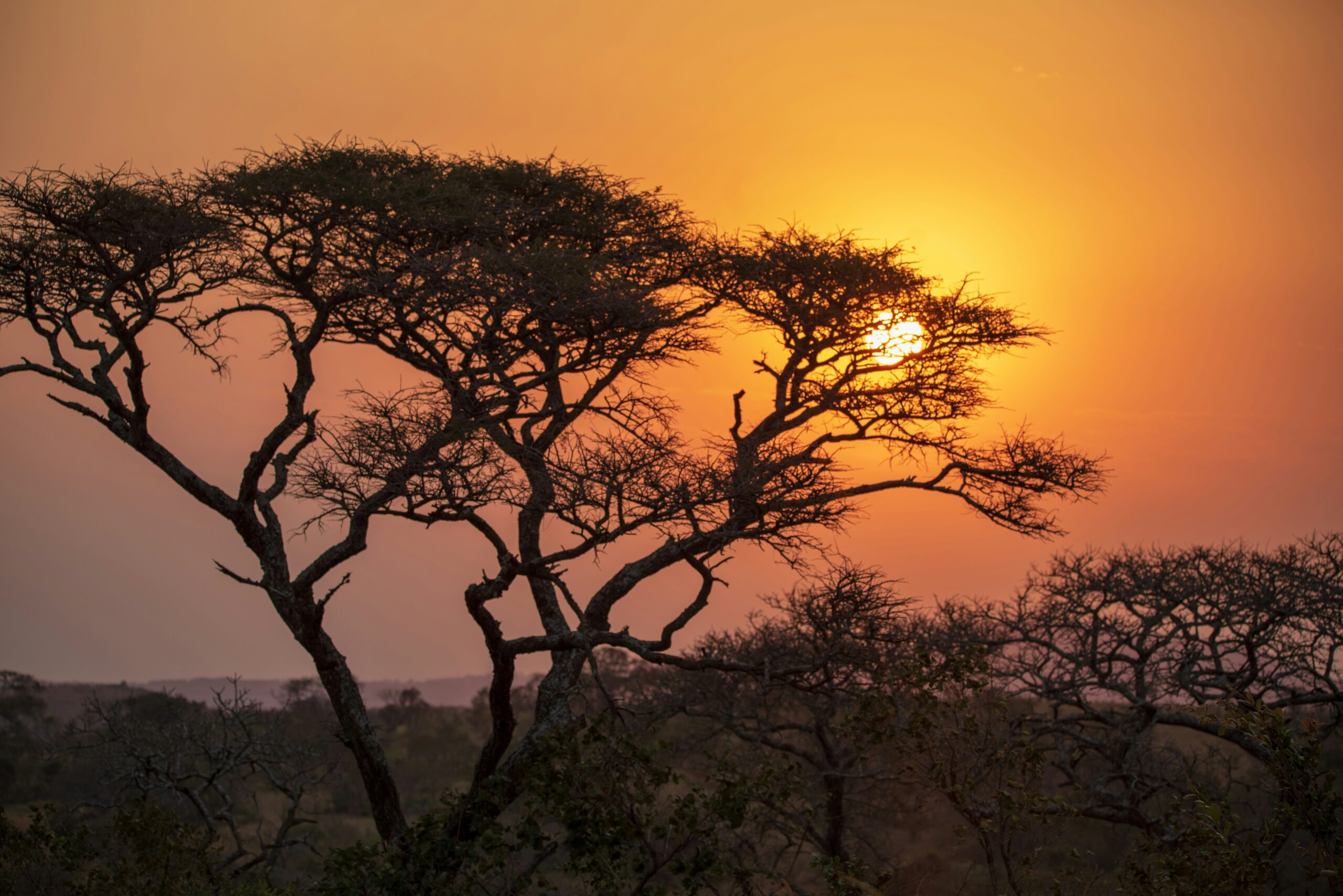 sunset spots Murchison