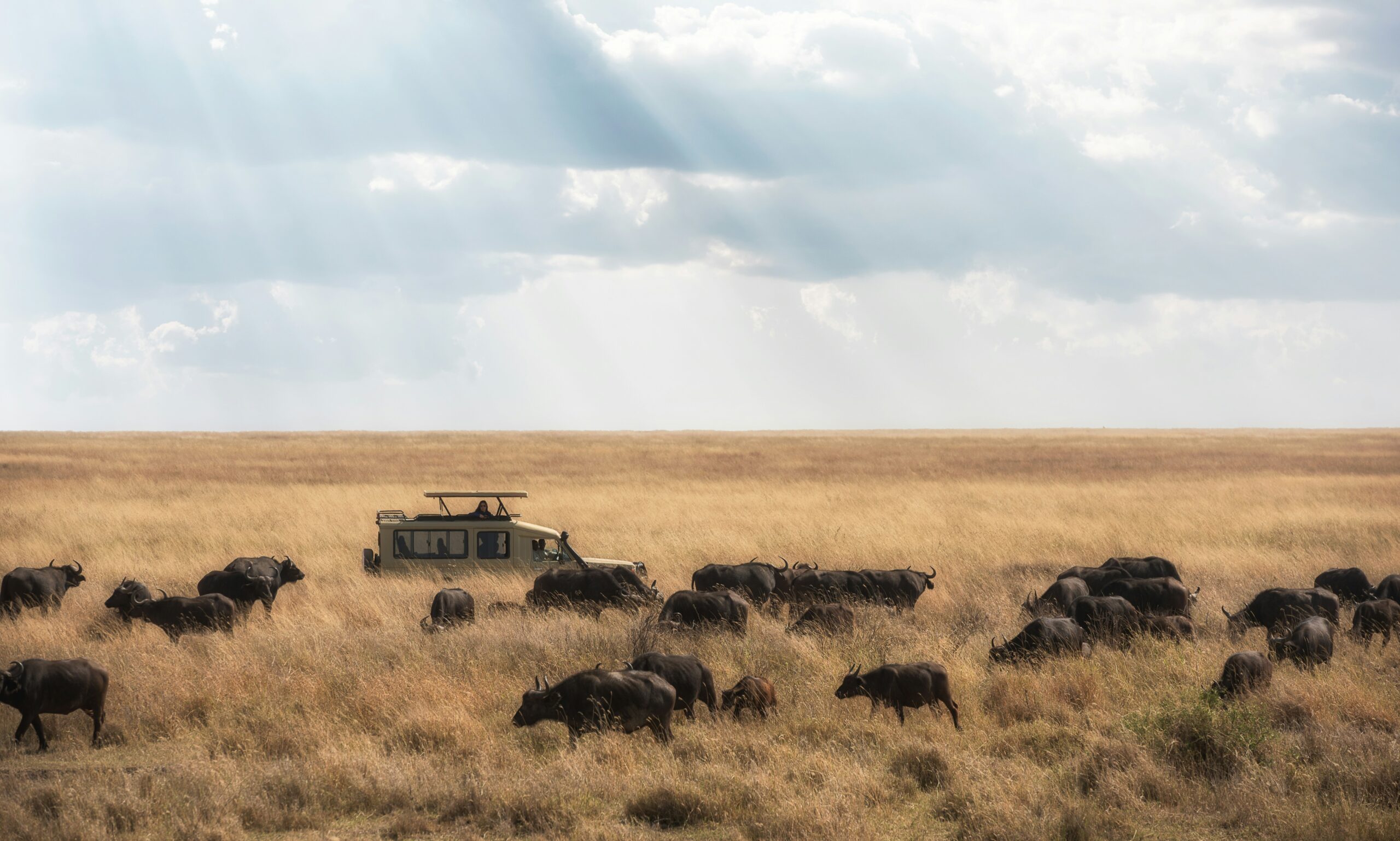 Veteran Safari Uganda