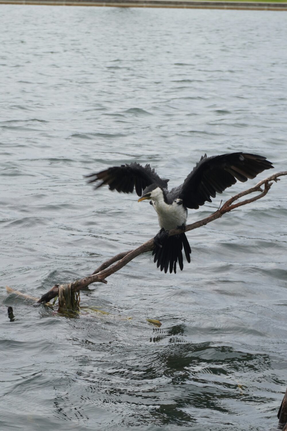Lake Albert Uganda