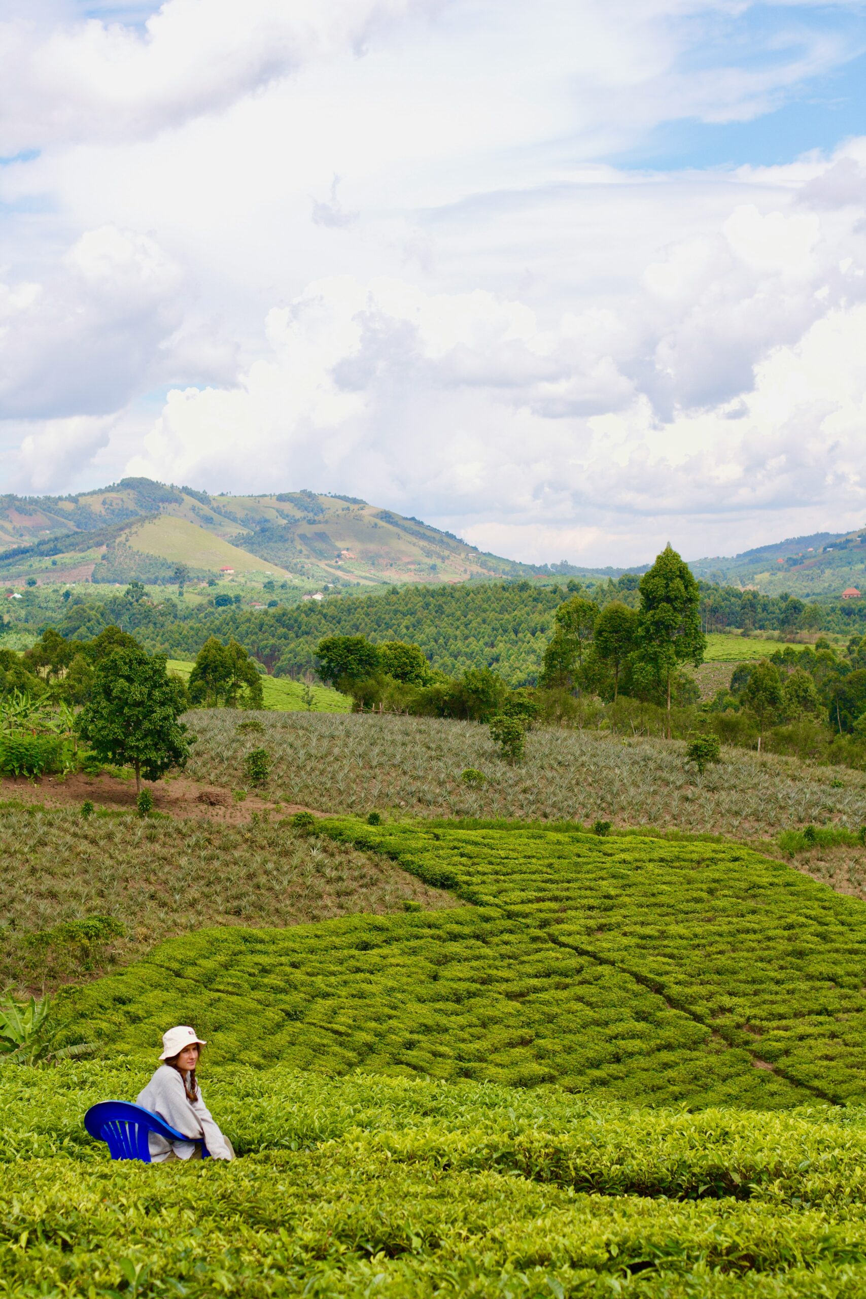 Uganda Coffee Tour