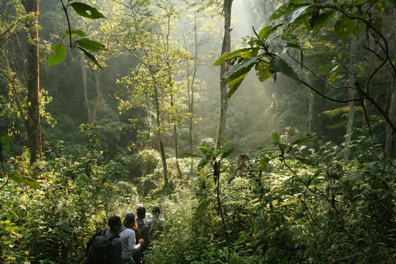 Bwindi Transport Options