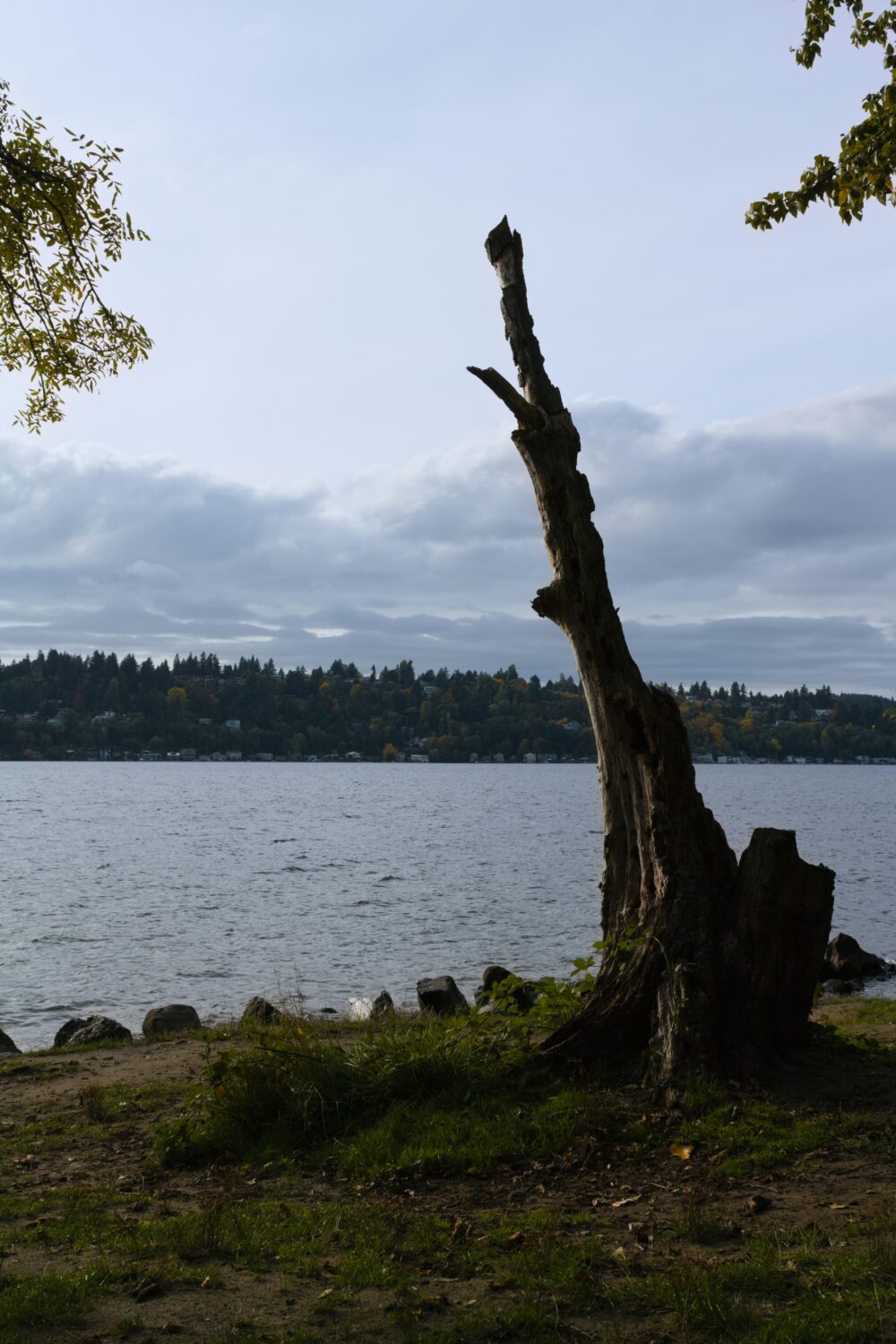 Lake Edward Uganda